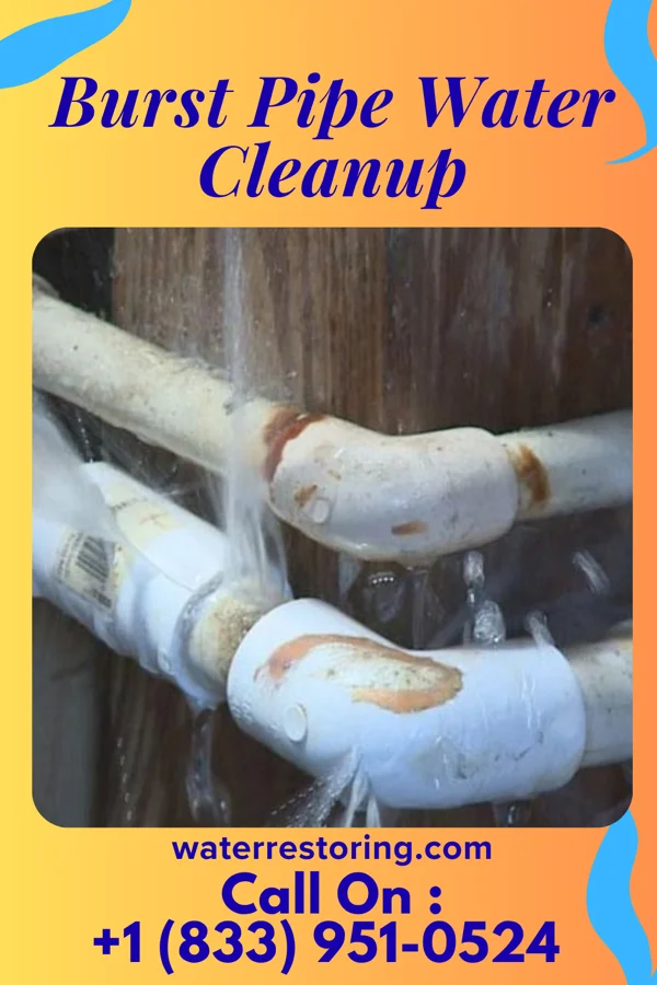 Burst Pipe Water Cleanup in Middle Village, WI