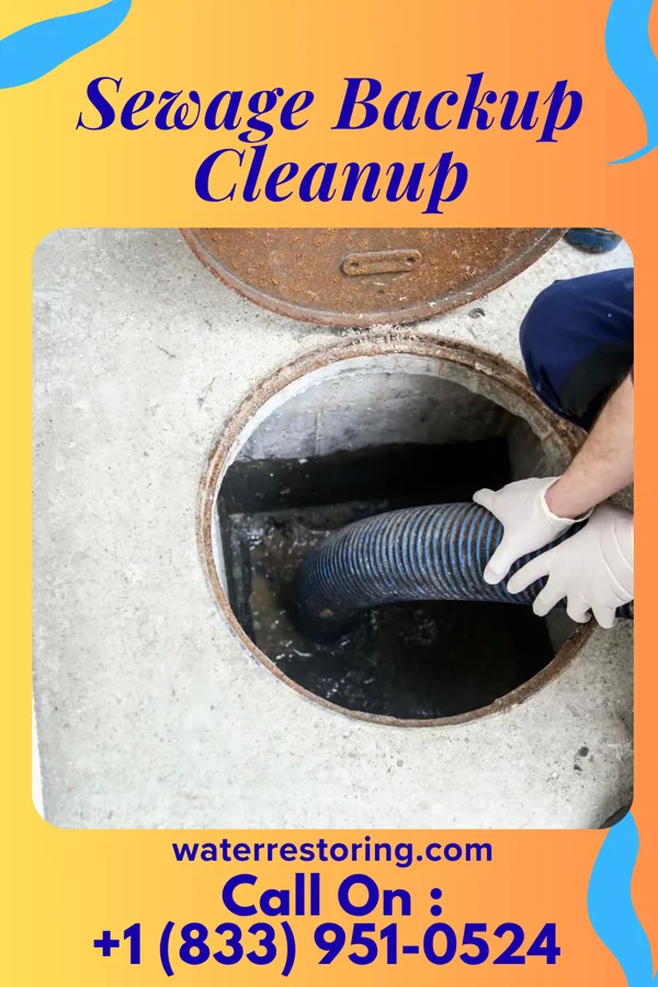 Sewage Backup Cleanup in Middle Village, WI