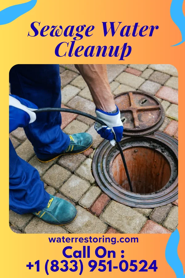 Sewage Water Cleanup in Middle Village, WI